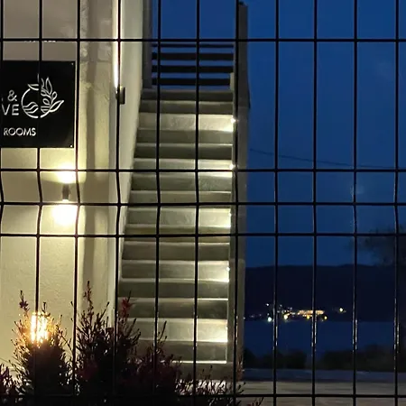 Seaandolive 阿莫利亚尼岛