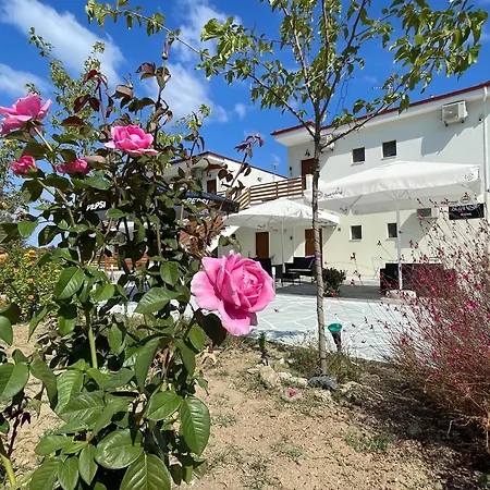 Seaandolive 3* 阿莫利亚尼岛