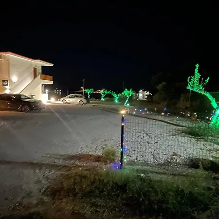 Seaandolive Амолиани