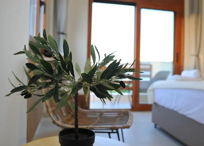 Aparthotel Seaandolive 3*